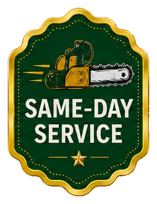 Same-Day Service Available