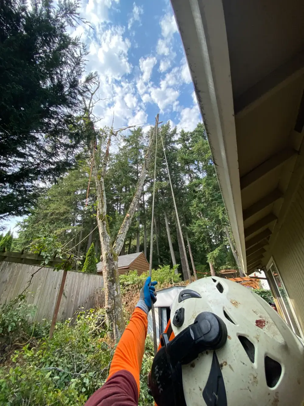 Sectional tree removal beside a Portland-area home
