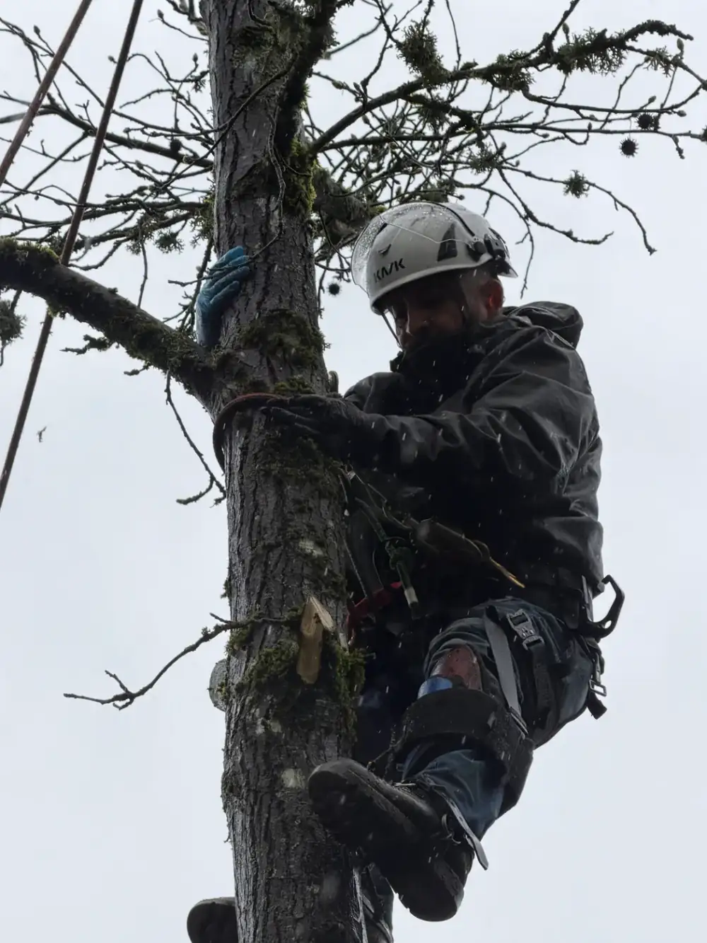 Climber ascending a spar with spikes and harness