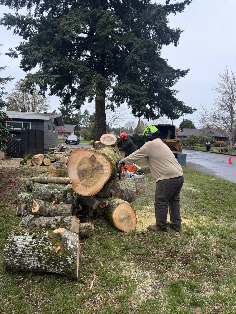 SkyTop tree removal on a Portland-metro street