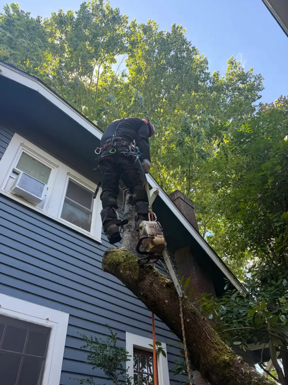 Climber ascending a spar with spikes and harness