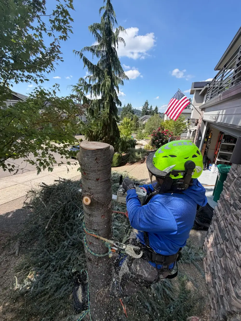 Climber cutting the top out of a dead standing tree